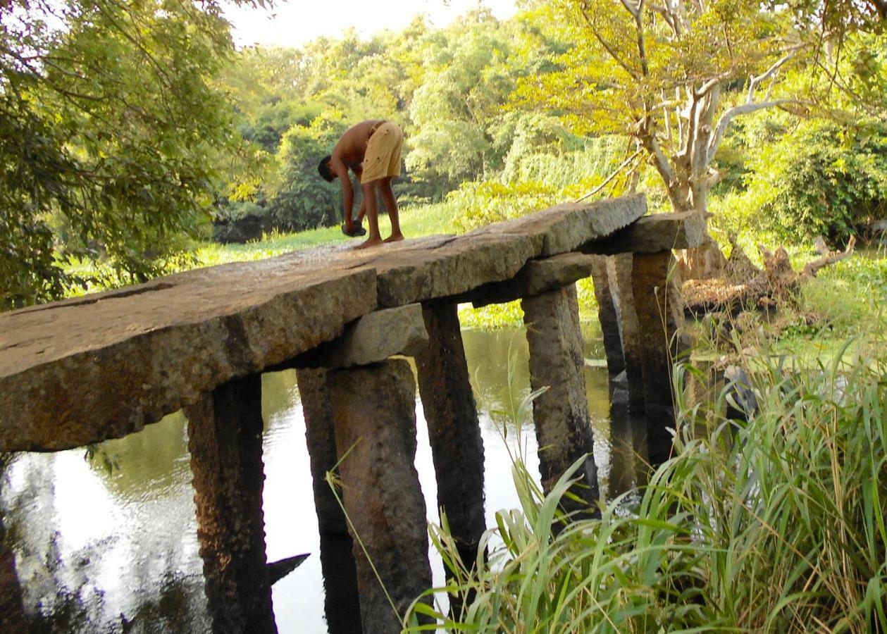 Homestay Camping Anuradhapura Exterior foto