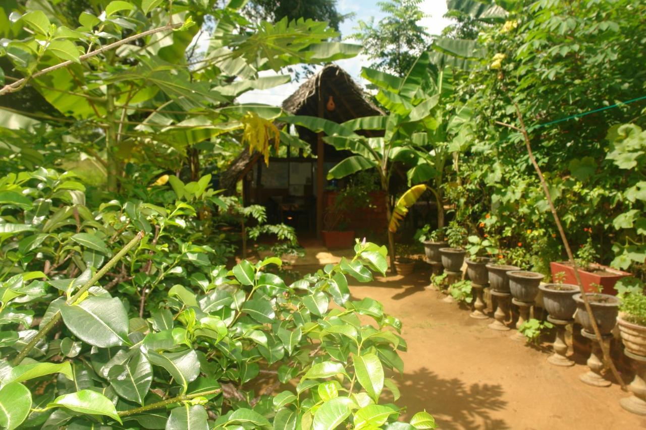 Homestay Camping Anuradhapura Exterior foto