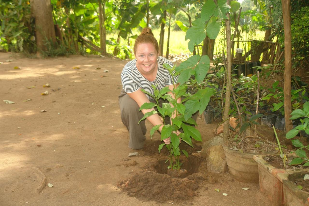 Homestay Camping Anuradhapura Exterior foto